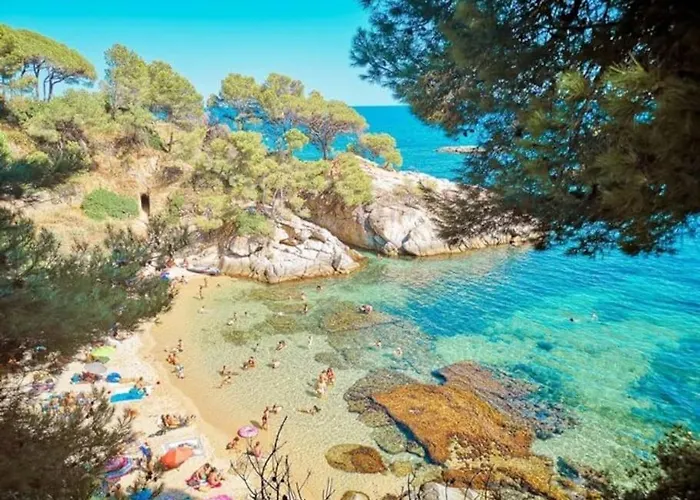 Daire Apartamento Platja D'Aro - 2 Dormitorios Con Pisci Platja d'Aro